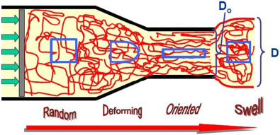 模头聚合物流动